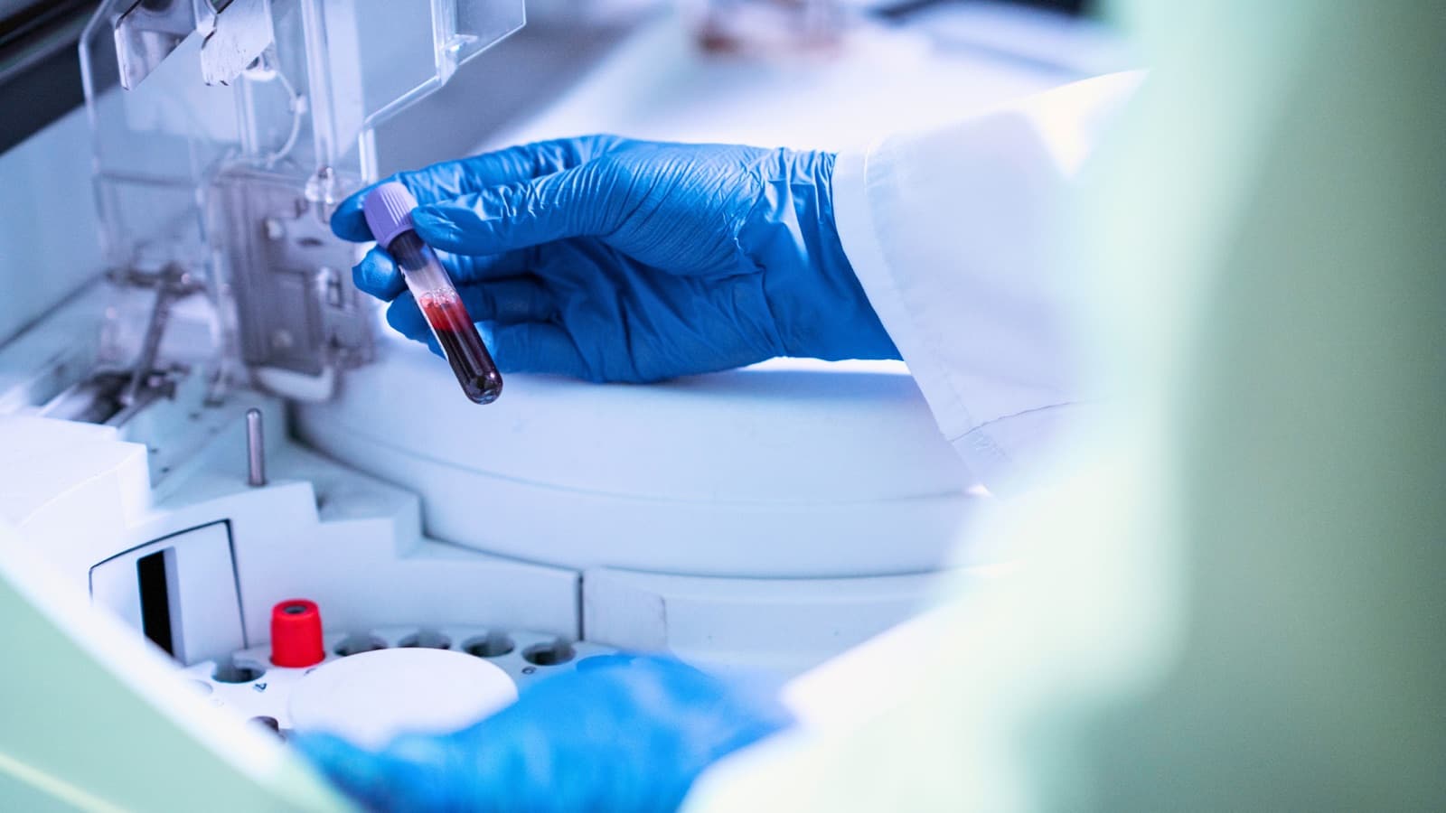 PolyLab — Laboratoire d'Analyses Médicales